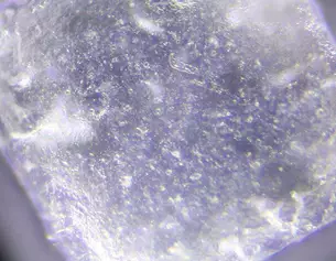 Zinc PCA Ingredient Image