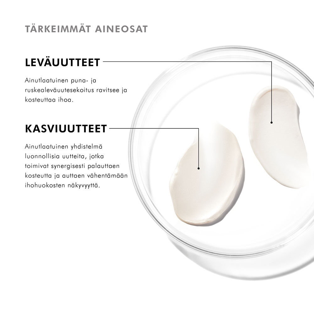 Tuotteen tarkeimmat ainesosat