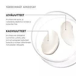 Tuotteen tarkeimmat ainesosat