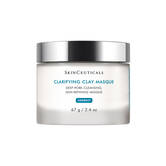 Clarifying Clay Mask